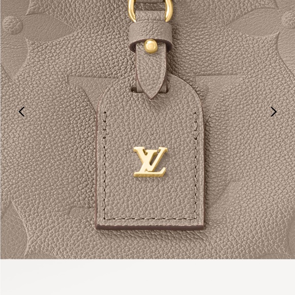 LV CarryAll MM bag in turtle dove - Picture 11 of 13